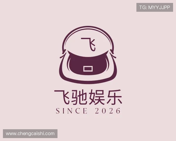 关于飞驰娱乐